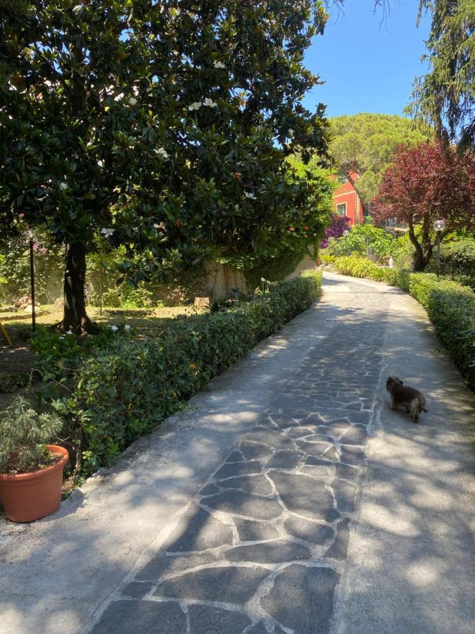 Le Magnolie Bed and Breakfast Σάντα Μαργκερίτα Λιγκούρε Εξωτερικό φωτογραφία